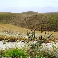 Between Nazilli and Pamukkale