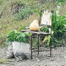 Gibara to Holguin