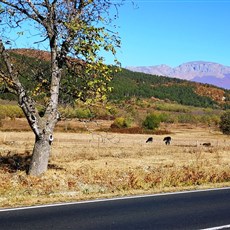 Banya to Kazanlak