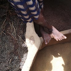 Koutammakou Unesco village - dry goods storage