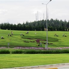 Denizli - lawn-mowing day