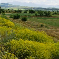 Between Acipayam and Çavdir