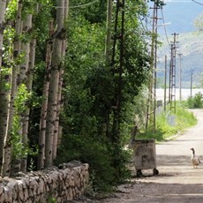 Between Çavdir and Korkuteli