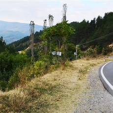 Delchevo to Bulgarian border