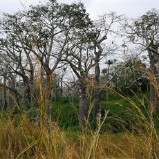 Barra do Dande to petrol station