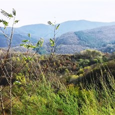 Shipka to Gabrovo