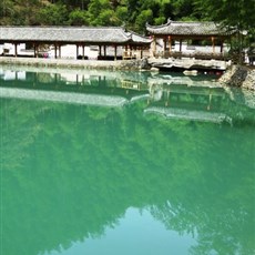 Mukeng bamboo forest