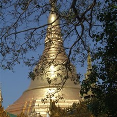 Shwedagon pagoda