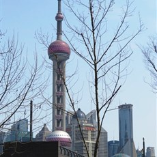 Pudong from the Bund