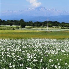 Between Şarkikaarağaç and Beyşehir