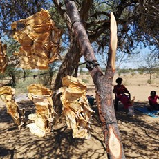 Windhoek to Okahandja