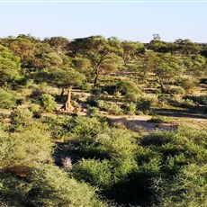 Okahandja to Wewelsburg Camping