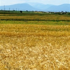 Between Şarkikaarağaç and Beyşehir