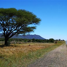 Okahandja to Wewelsburg Camping