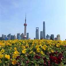 Pudong from the Bund