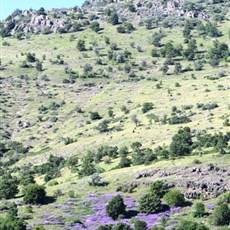 Between Beyşehir and Konya