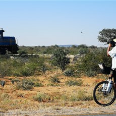 Otjiwarongo to Khoi Khoi Guest House