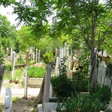 Konya graveyard