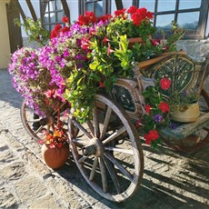 Veliko Tarnovo