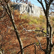 Veliko Tarnovo to Strazhitsa