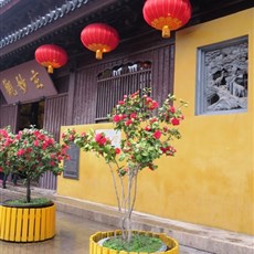 Suzhou - Xuan Miao temple