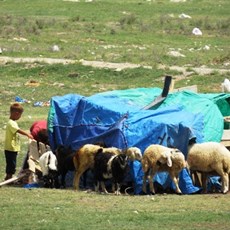 Between Sultanhani and Aksaray