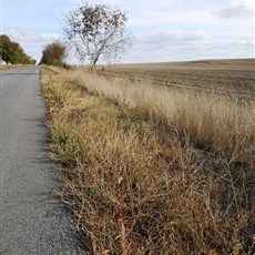 Shumen to Devnya