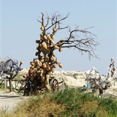 Leaving Göreme