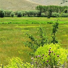 Between Pinarbaşi and Gϋrϋn