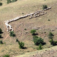 Between Darende and Malatya