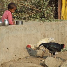 En route Ranakpur