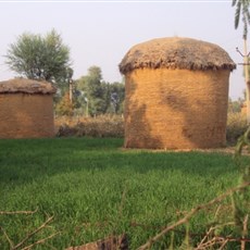 En route Ranakpur