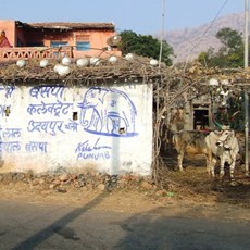 En route Udaipur