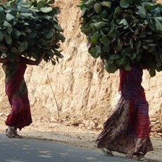 En route Udaipur