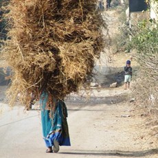 En route Udaipur