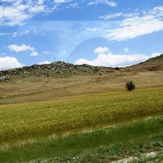 Between Kangal and Malatya