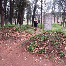 Confucius Forest - burial mounds