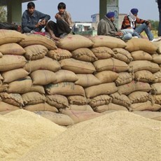 Bundi grain market