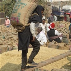 Bundi grain market