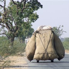 En route Pushkar