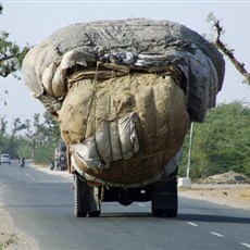 En route Pushkar