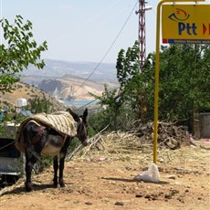 Between Kâhta and Siverek