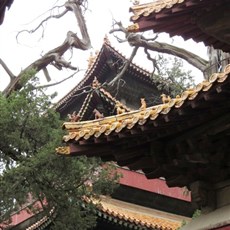 Confucius Temple