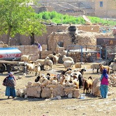 Between Şanliurfa and Veranşehir