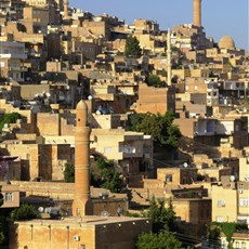 Mardin