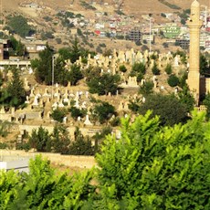 Mardin