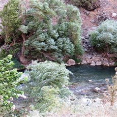 Between Veysel Karani and Bitlis