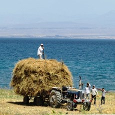 Between Van and Muradiye
