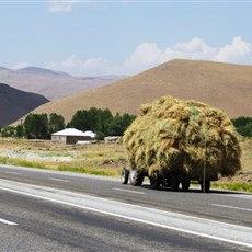 Between Muradiye and Çaldiran