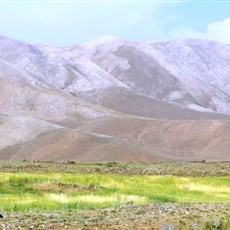 Between Çaldiran and Doğubayazit